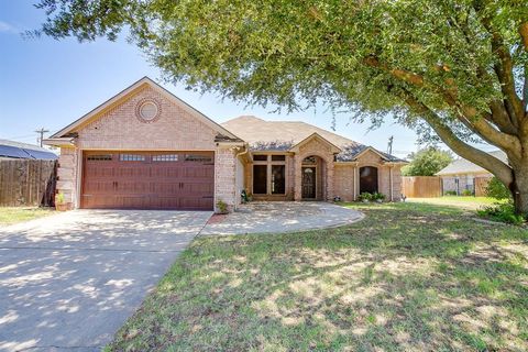 1029 Calinco Drive Granbury TX 76048
