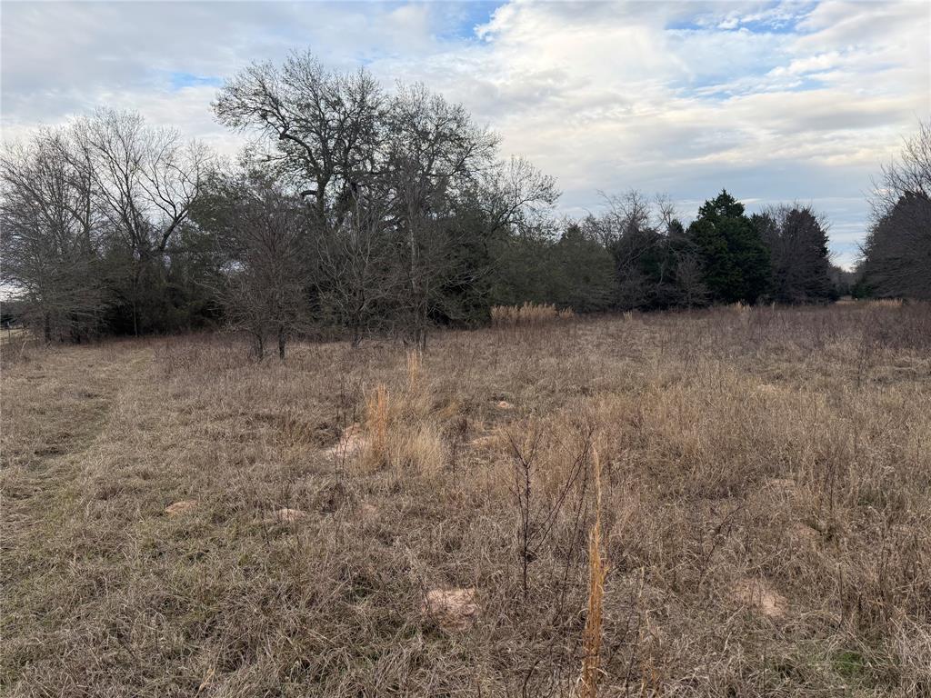 John Ward Survey - Land