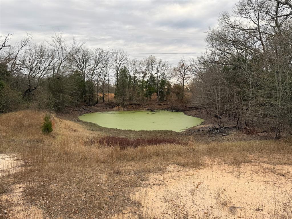 John Ward Survey - Land