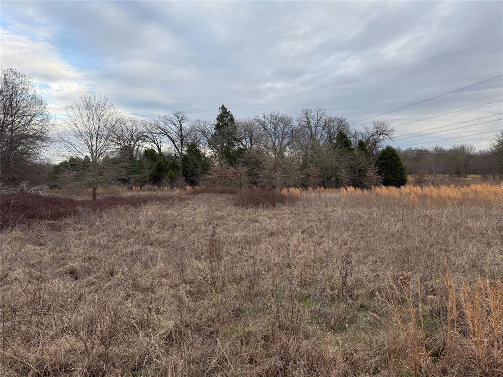 John Ward Survey - Land