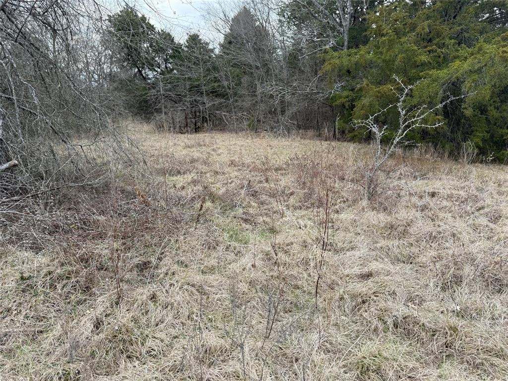 John Ward Survey - Land