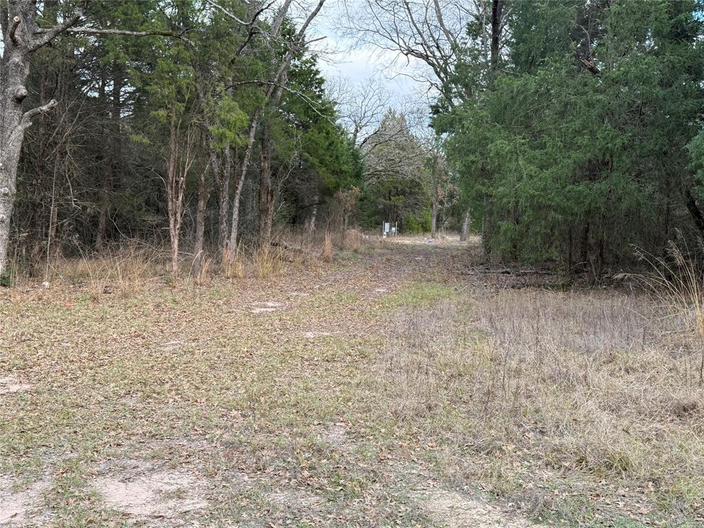 John Ward Survey - Land