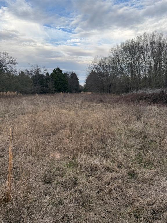 John Ward Survey - Land