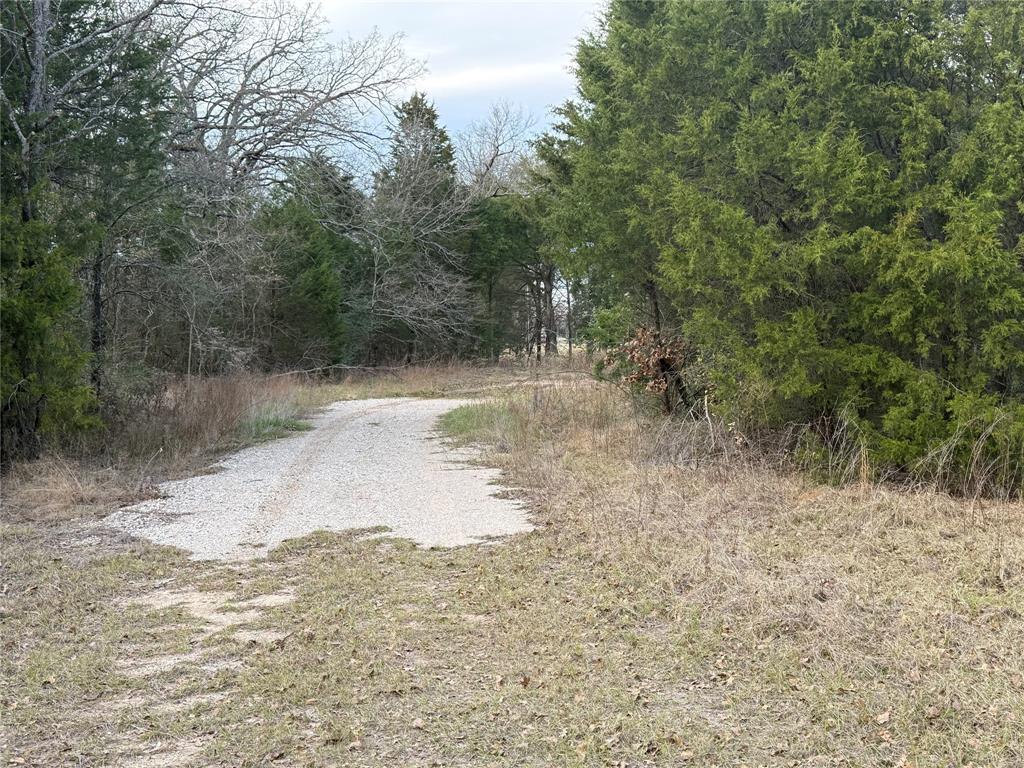 John Ward Survey - Land