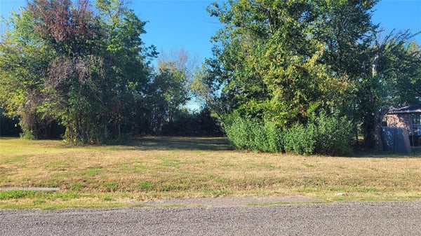 1905 SYCAMORE ST, COMMERCE, TX 75428 - Image 852ed9aa8bf55d8636c073414b676c86/19821291