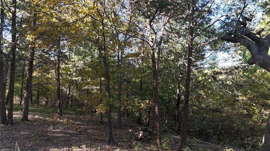 Tanglewood Hills Ctry Cl 10-15 - Land