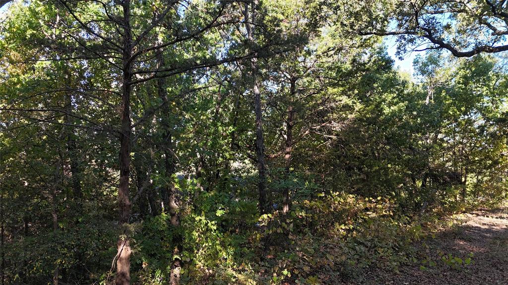 Tanglewood Hills Ctry Cl 10-15 - Land