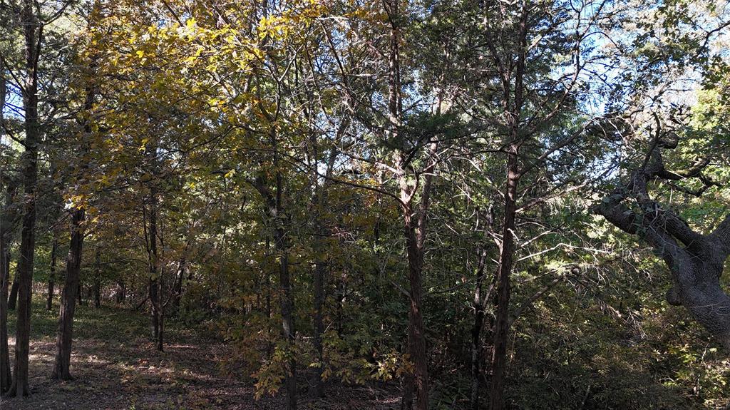 Tanglewood Hills Ctry Cl 10-15 - Land