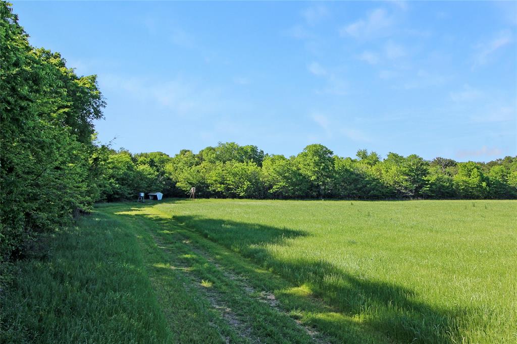 Juan C Cortez - Farm