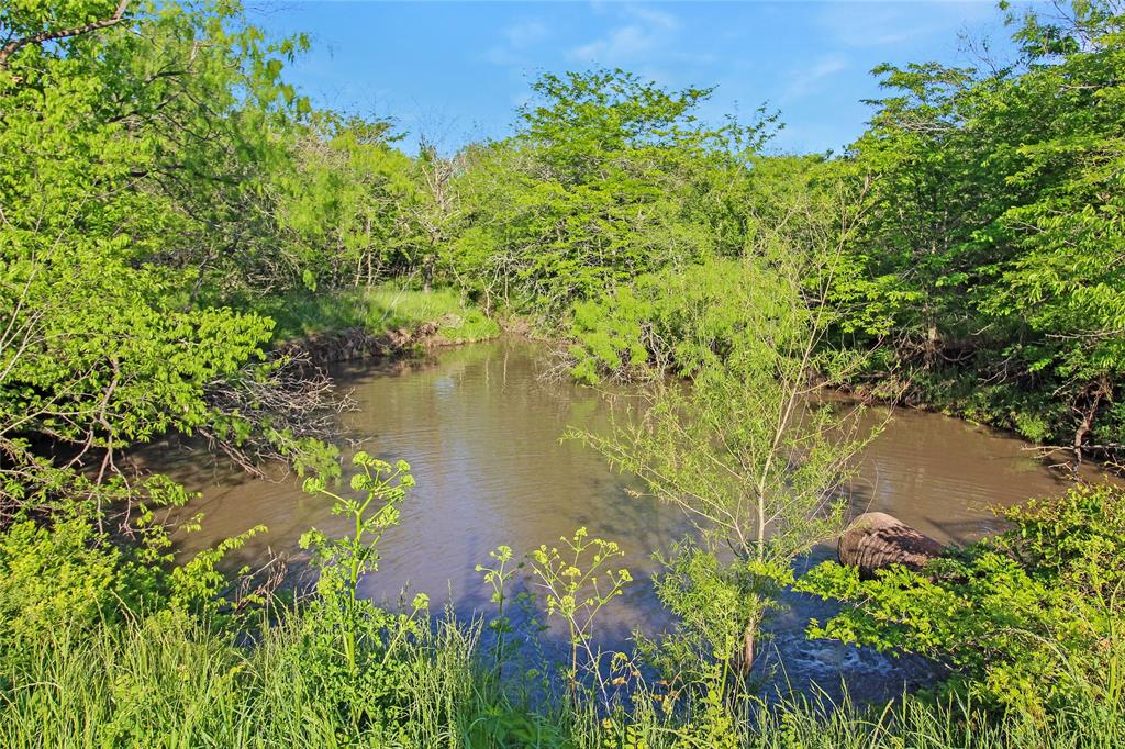 Juan C Cortez - Farm