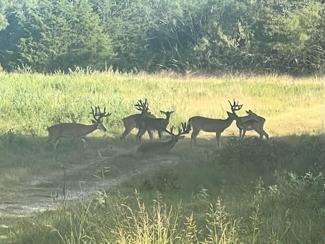 Juan C Cortez - Farm