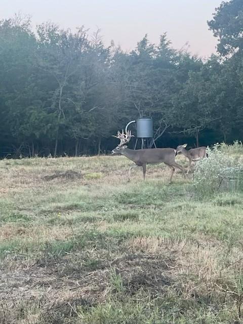 Juan C Cortez - Farm