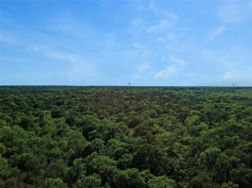 Juan C Cortez - Farm