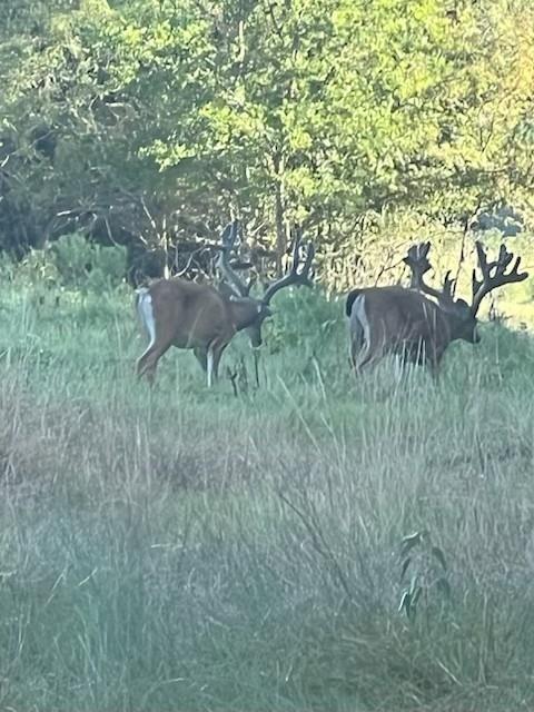 Juan C Cortez - Farm