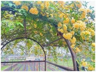 R Horton - Residential