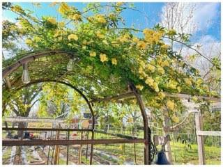 R Horton - Residential