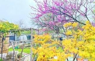 R Horton - Residential