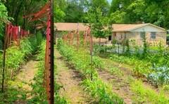 R Horton - Residential