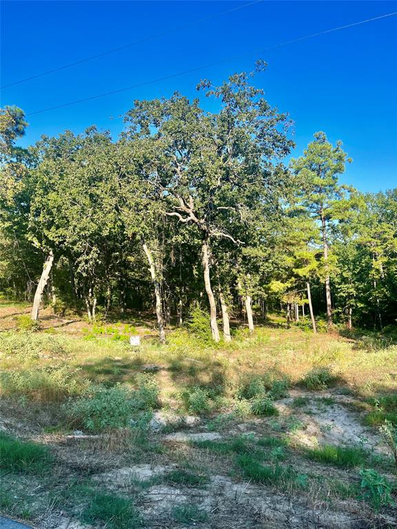 Legacy Shores - Land