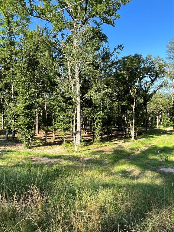 Legacy Shores - Land