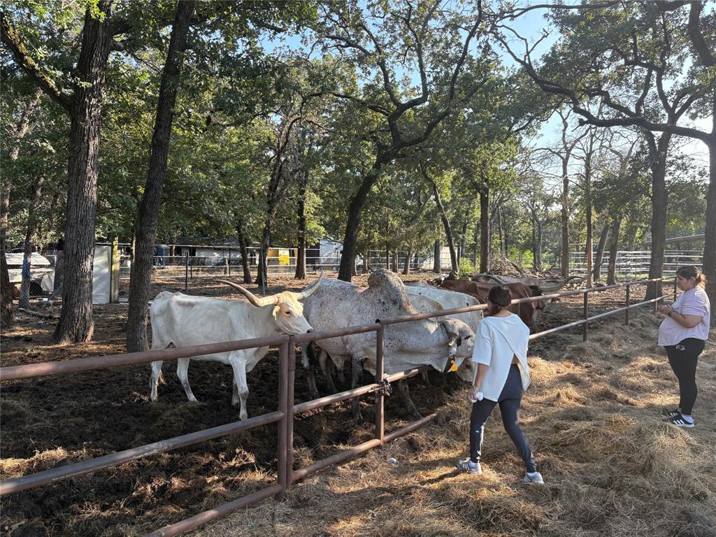 Bernardo Rico Add - Land