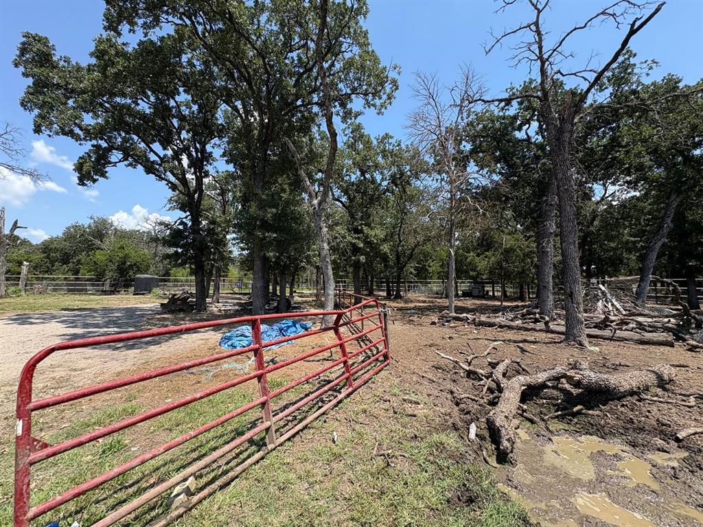 Bernardo Rico Add - Land