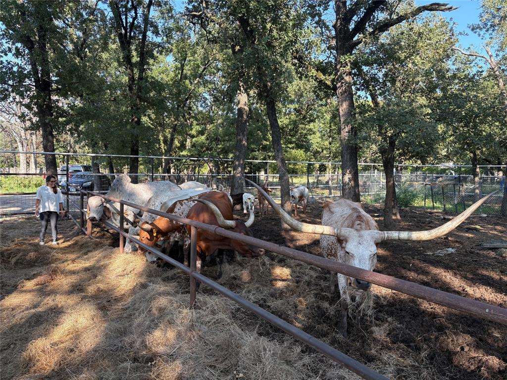 Bernardo Rico Add - Land