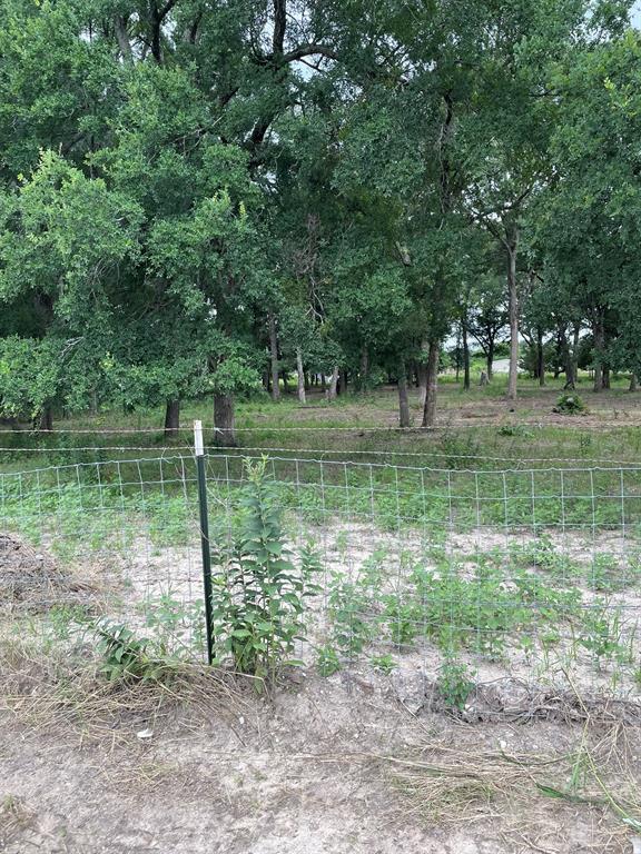 TBD Private Road 2545 - Photo 4