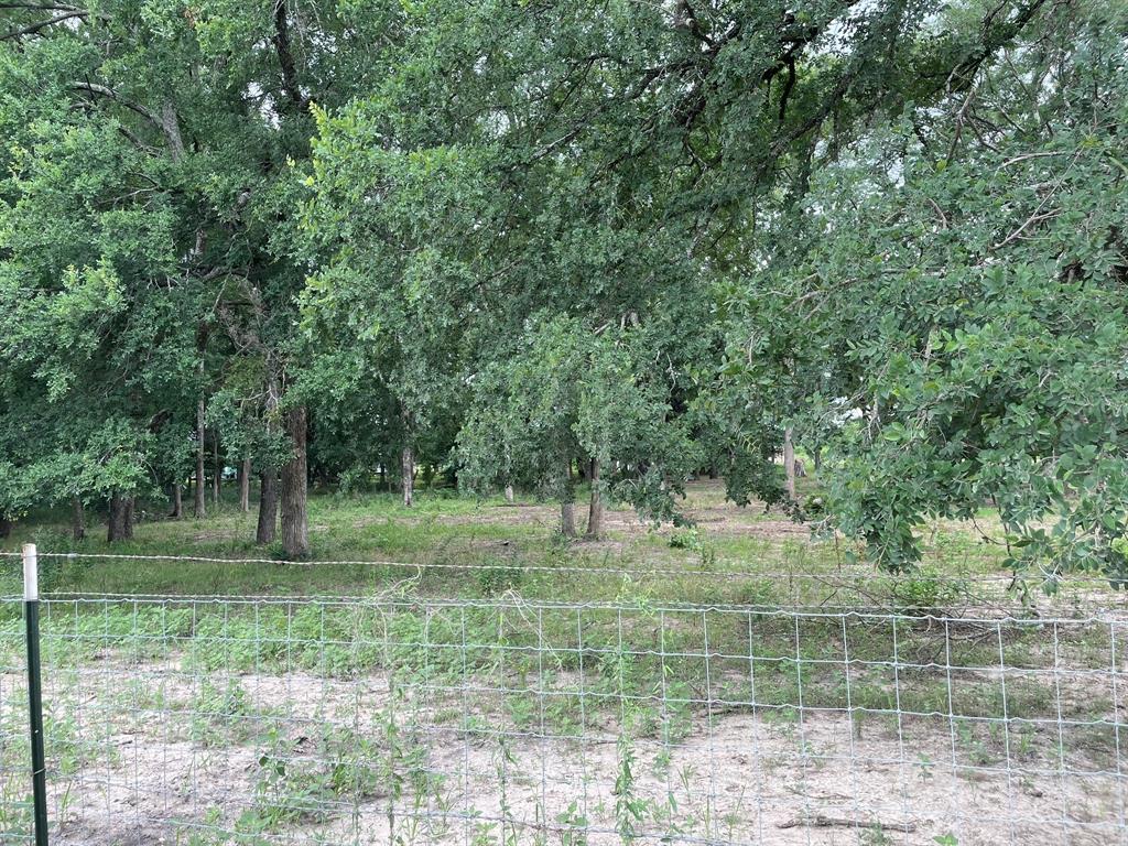 TBD Private Road 2545 - Photo 3