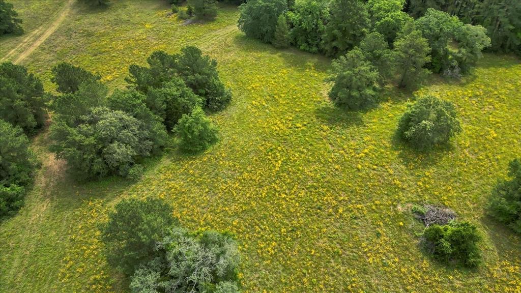 Bradley - Residential