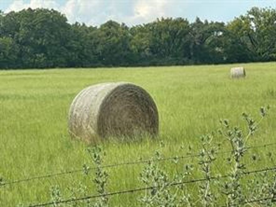 Country living close to Stephenville and Hico.  On one side of the CR lies Beautiful Coastal Ground, with the North Bosque River on the boundary line. This gorgeous appx.100 acres of coastal is fenced and shows off mature Pecan Trees. This is great Productive Property for both hay production and cattle grazing.  Across the County Road lies the additional acreage, with a cute 3,2 brick home, well ,septic, carport, several barns, overlooking the lush coastal fields.
The appx. 100 ft. elevation changes from a low bottom coastal field, bordered by the river, to a high hill that overlooks the property.   
A good mixture of productive coastal and terrains. Handy to Stephenville, Cowboy Capital, and Historical Hico.