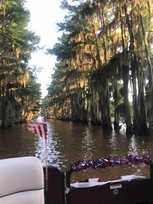 Mossy Break - Residential