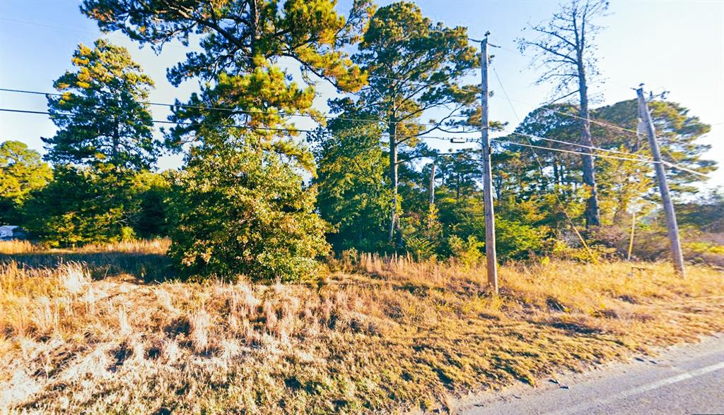 Keithville, Louisiana 71047, United States, ,Land,Active,186823