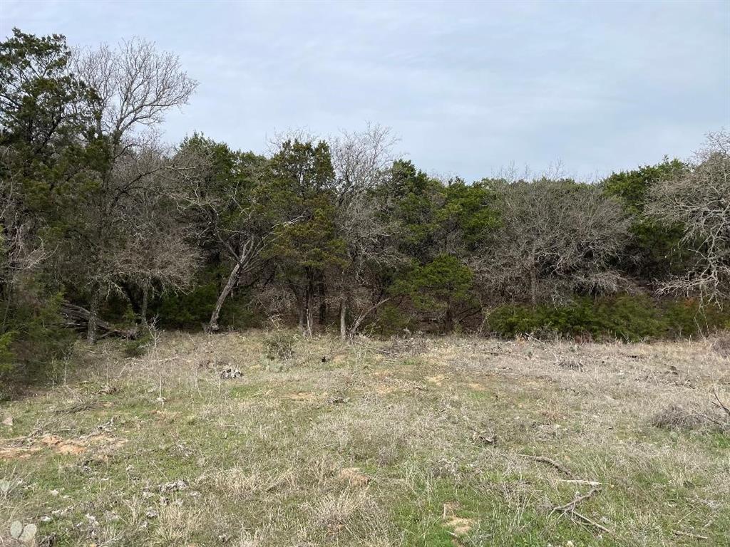 699 Oaks Crossing Road