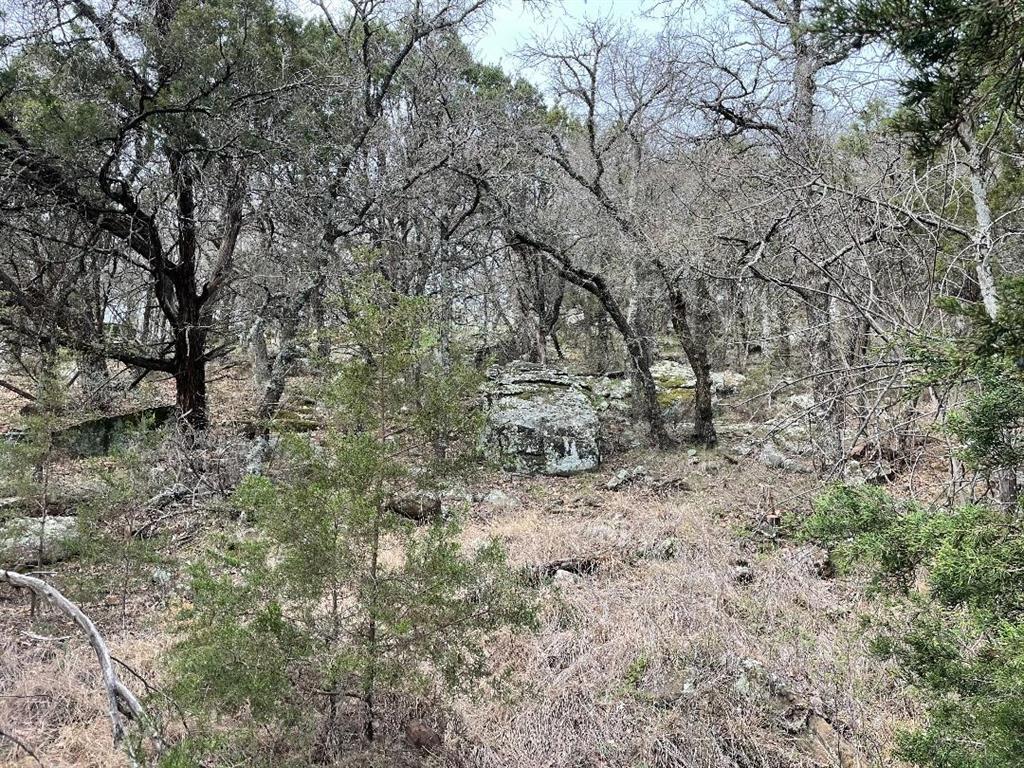 699 Oaks Crossing Road