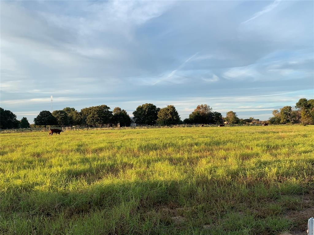 ABST: 767, SUR: W F SPARKS - Commercial Sale