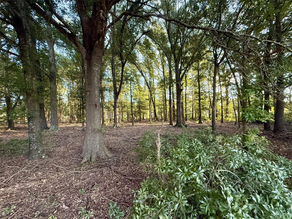 ABST: 767, SUR: W F SPARKS - Commercial Sale