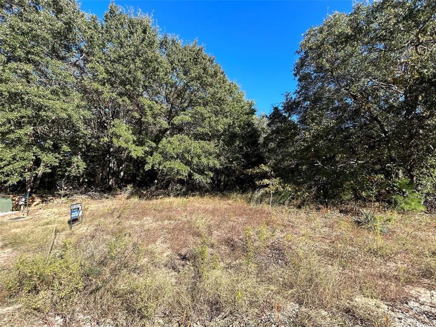 This half-acre property is situated in the beautiful Forest View Subdivision in Mineola, TX. Surrounded by a tranquil and serene environment, it provides the perfect space for a cozy and peaceful home. The lot offers ample space to build your dream home! The terrain is flat and allows for easy construction. Nestled among other stunning homes, this half-acre property is perfect for those seeking a quiet and comfortable retreat. Electric and water are at the road. The seller even has 3 house plans that you can choose from with the sale of the property!