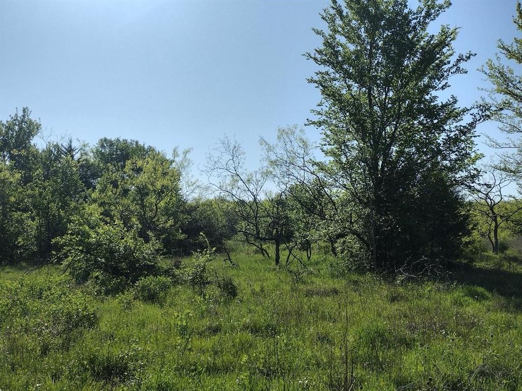 Vista Oaks Estates - Land