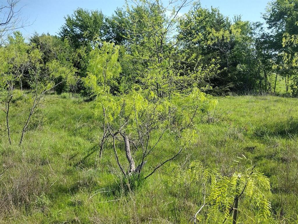 Vista Oaks Estates - Land