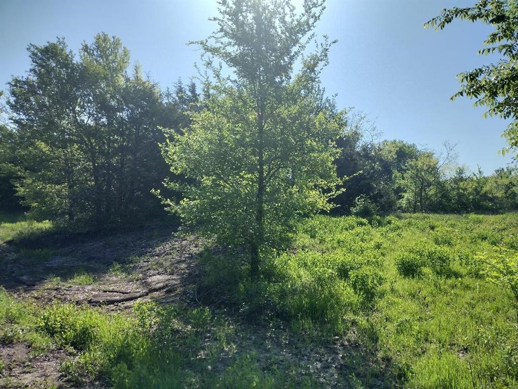 Vista Oaks Estates - Land