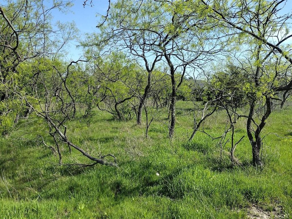 Vista Oaks Estates - Land