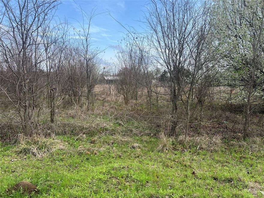 Lake view lot on .354 acres near Lake Tawakoni! This deed-restricted homesite offers the perfect place to build your dream home and enjoy peaceful lake living. Located within walking distance to the lake, this property provides beautiful views and convenient access to fishing, boating, and recreation. A great opportunity to create your ideal lake getaway or full-time residence.