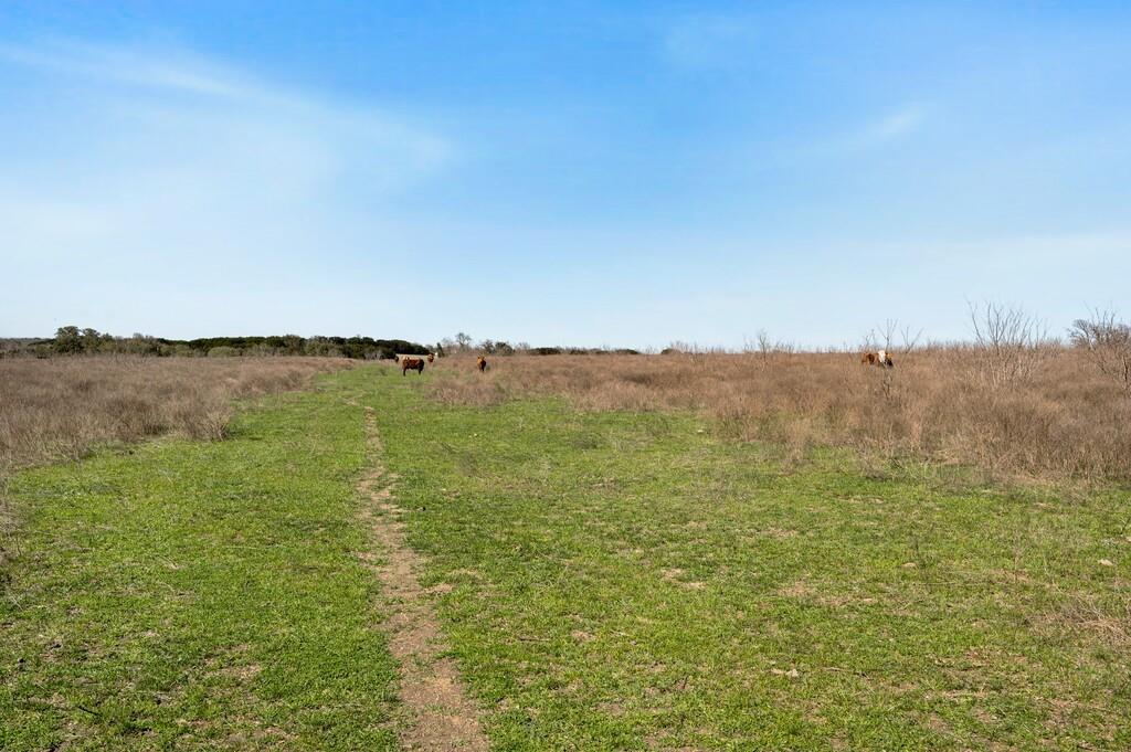 Burton Samuel A-77 - Farm