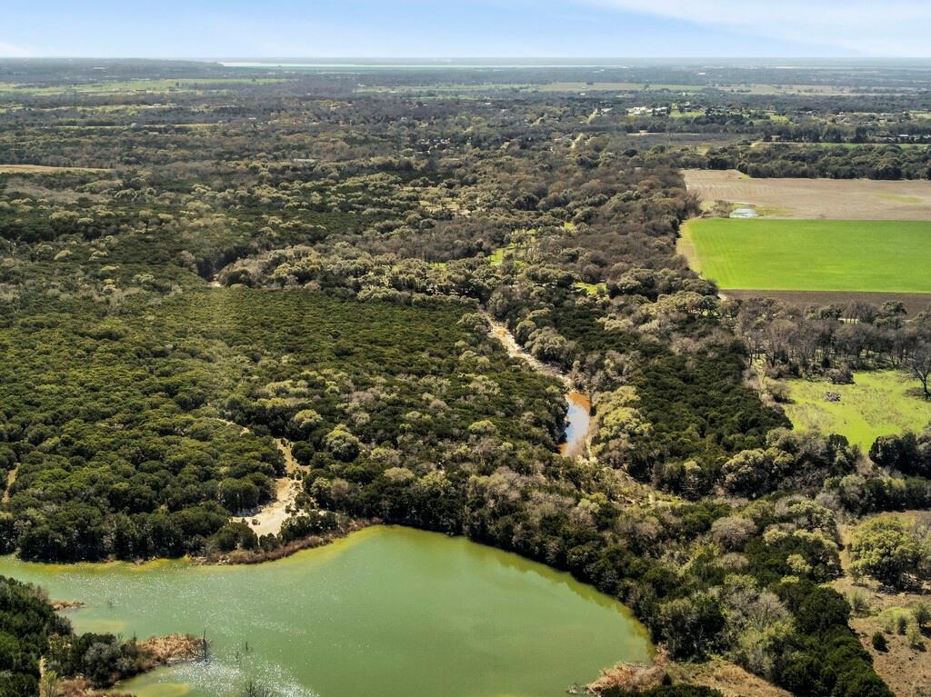 Burton Samuel A-77 - Farm