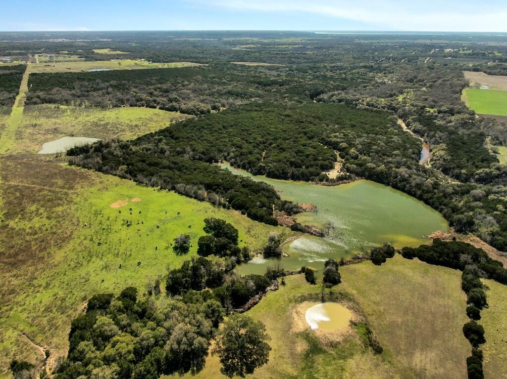 Burton Samuel A-77 - Farm