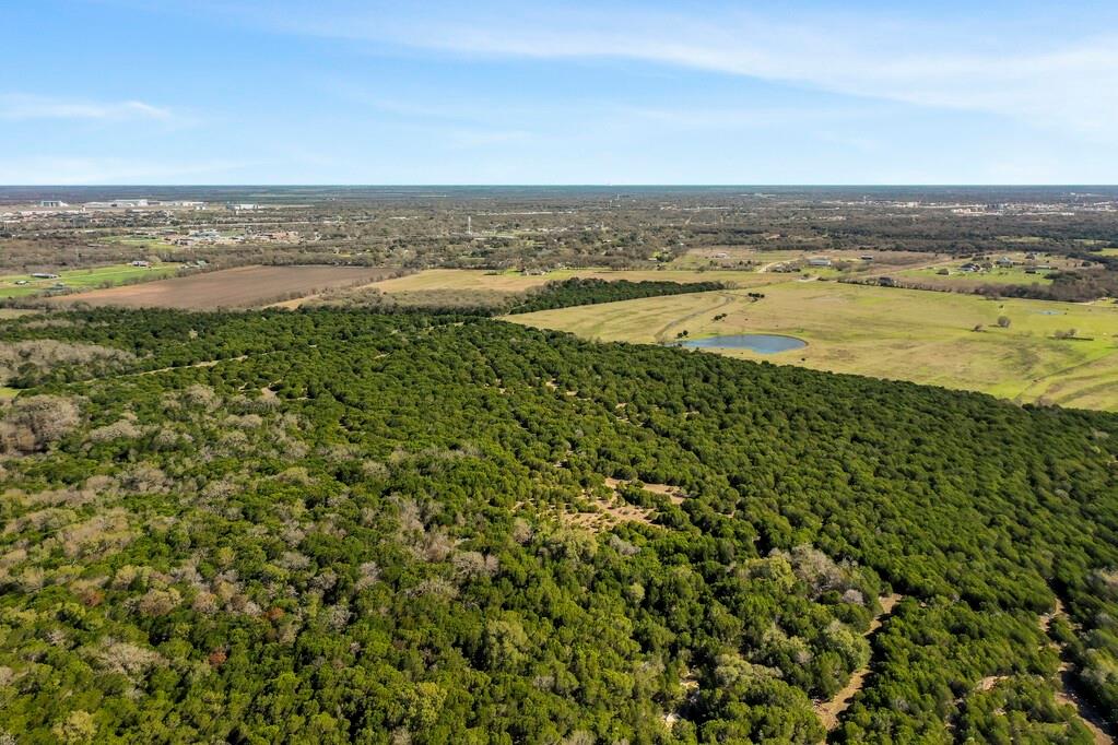 Burton Samuel A-77 - Farm