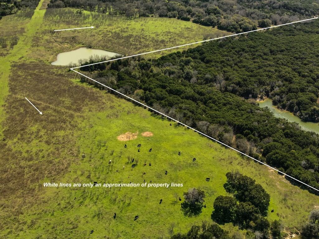 Burton Samuel A-77 - Farm