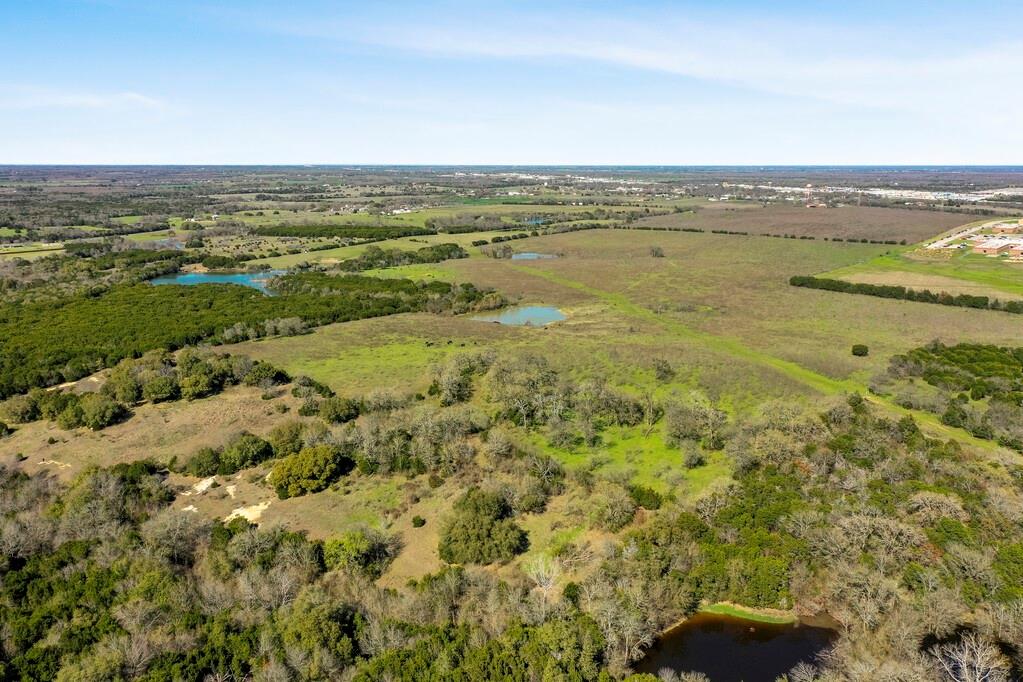 Burton Samuel A-77 - Farm