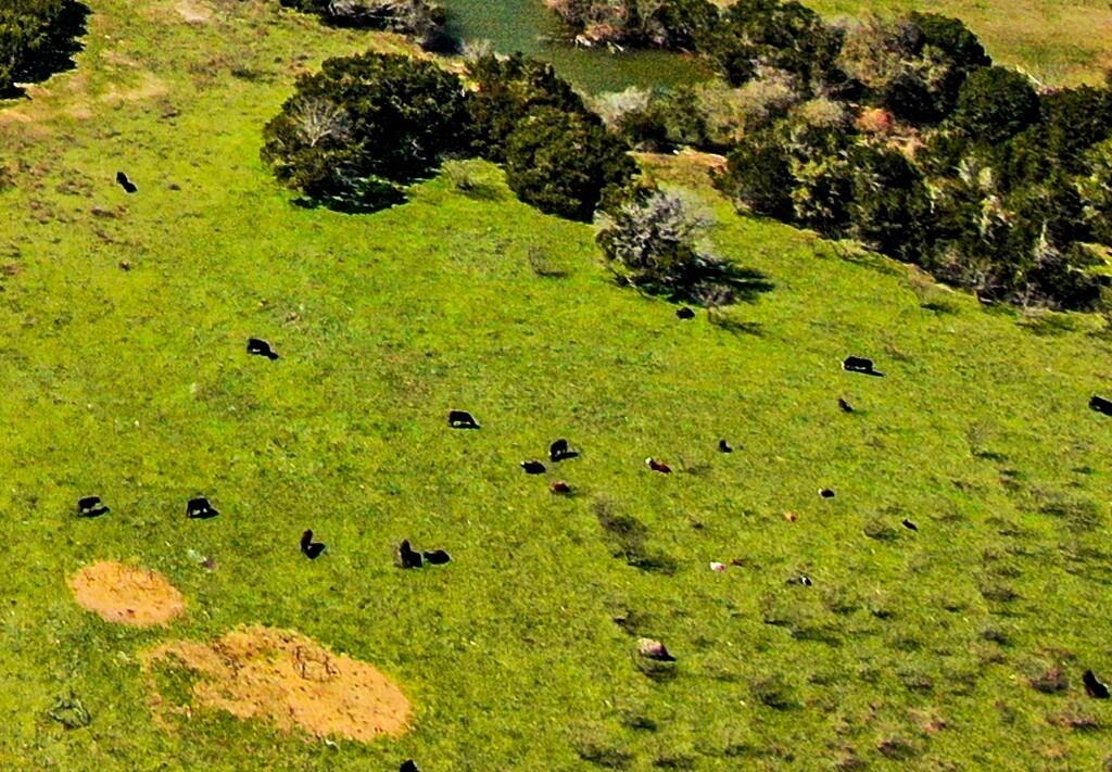 Burton Samuel A-77 - Farm